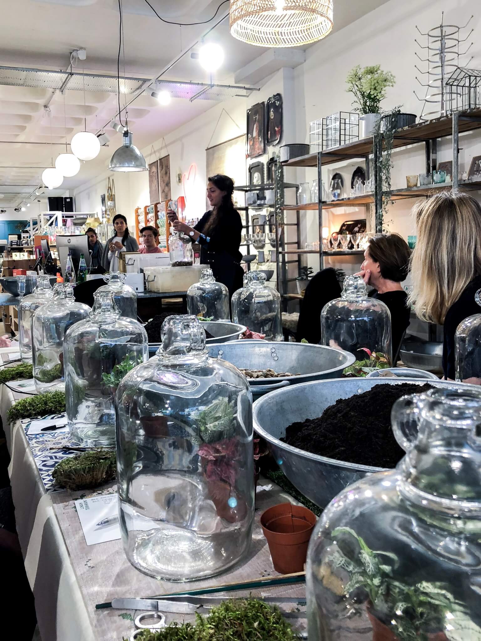 Terrarium with London Terrariums Science Mama